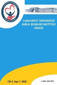 Cumhuriyet Üniversitesi Sağlık Bilimleri Enstitüsü Dergisi
